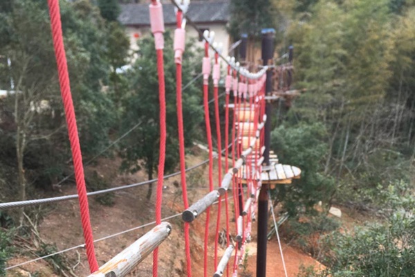 穿越丛林