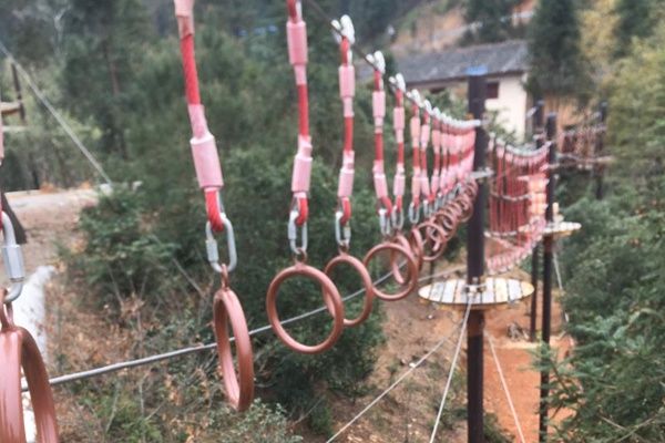 丛林探险