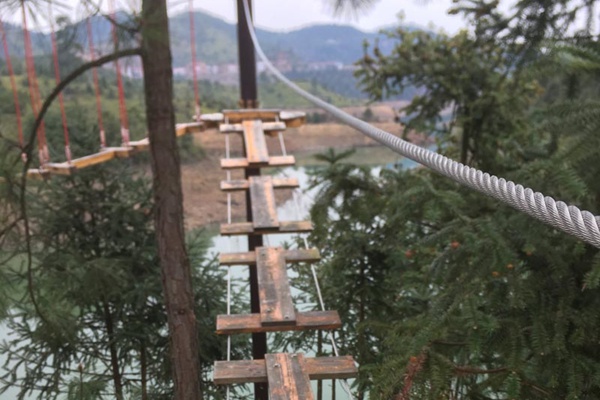丛林探险