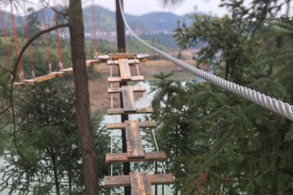 丛林探险