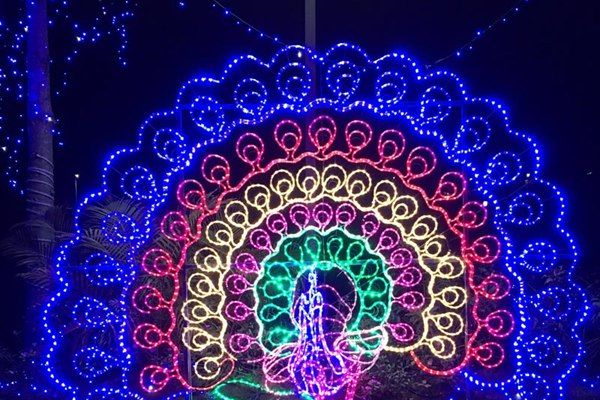 灯光节场景